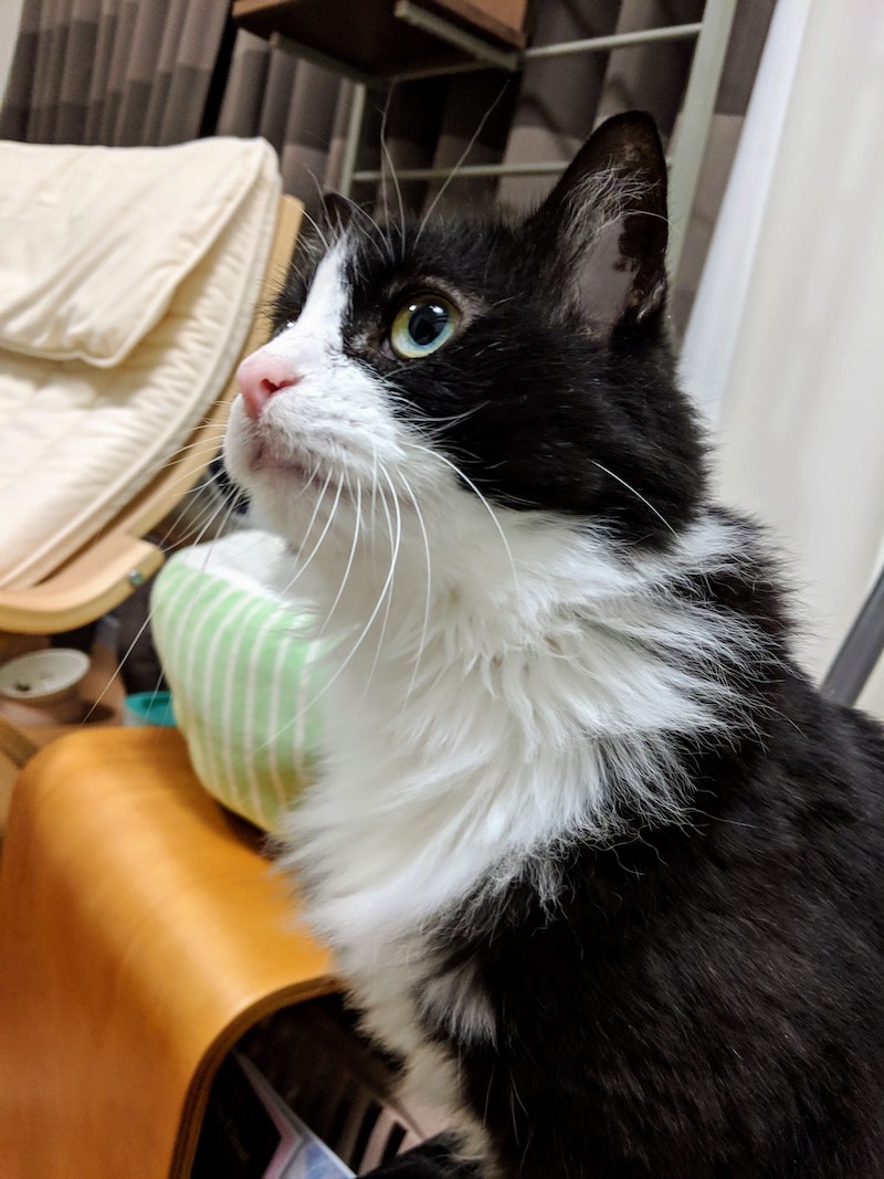 ゆかりかわいいフォト